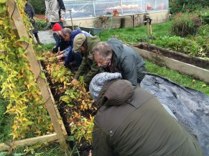 Group members carefully scraping soil and sand away to reveal the light roots.