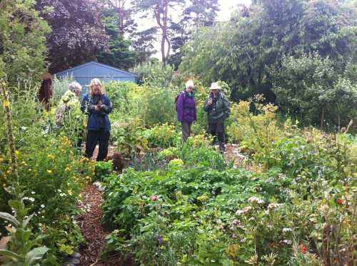 findhorn-gardens