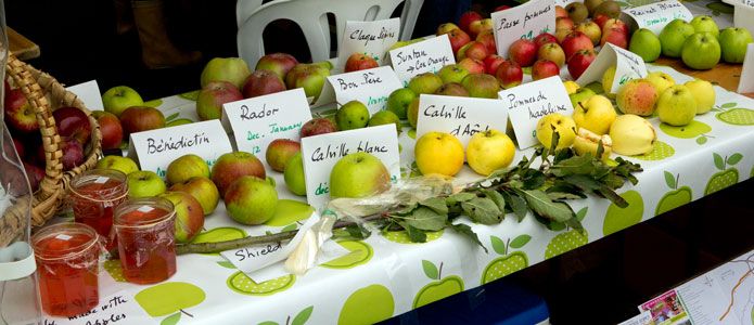 appleday-2-via-bh-camera-club